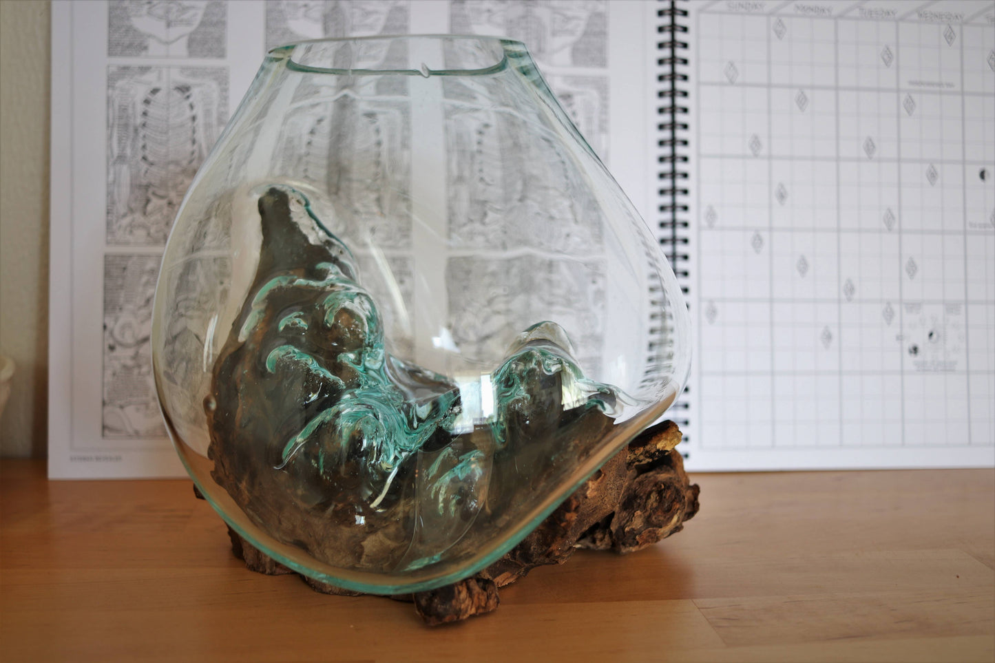 Molten Glass & Wood Sculpture - Approx 20cm across