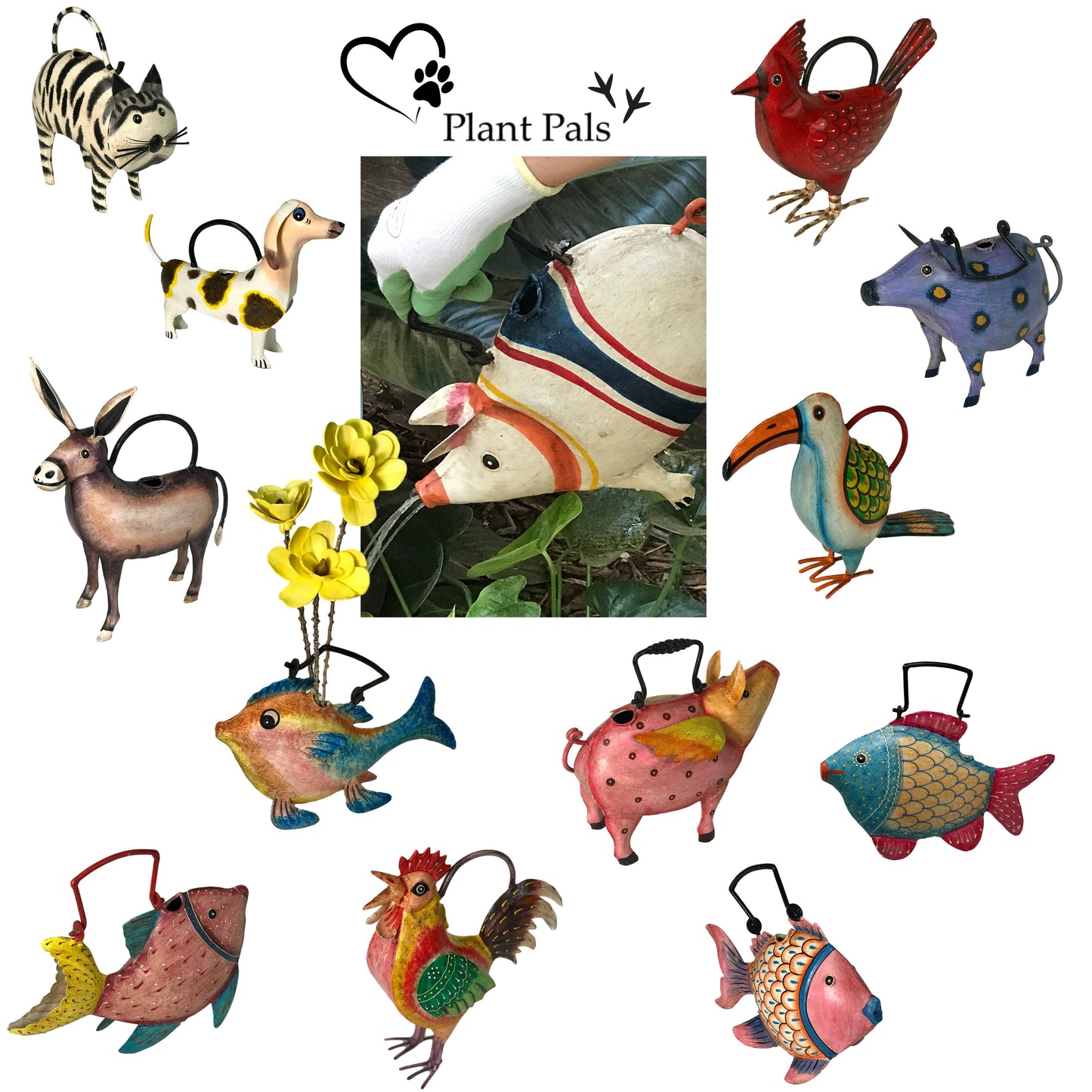 Ricky The Rooster Plant Pals Water Can