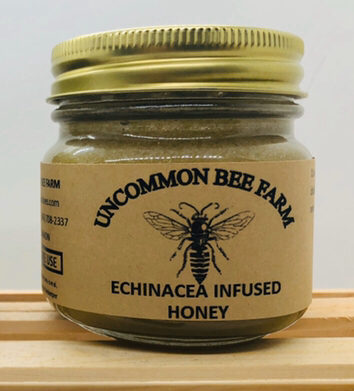 Echinacea Infused Honey: 5oz
