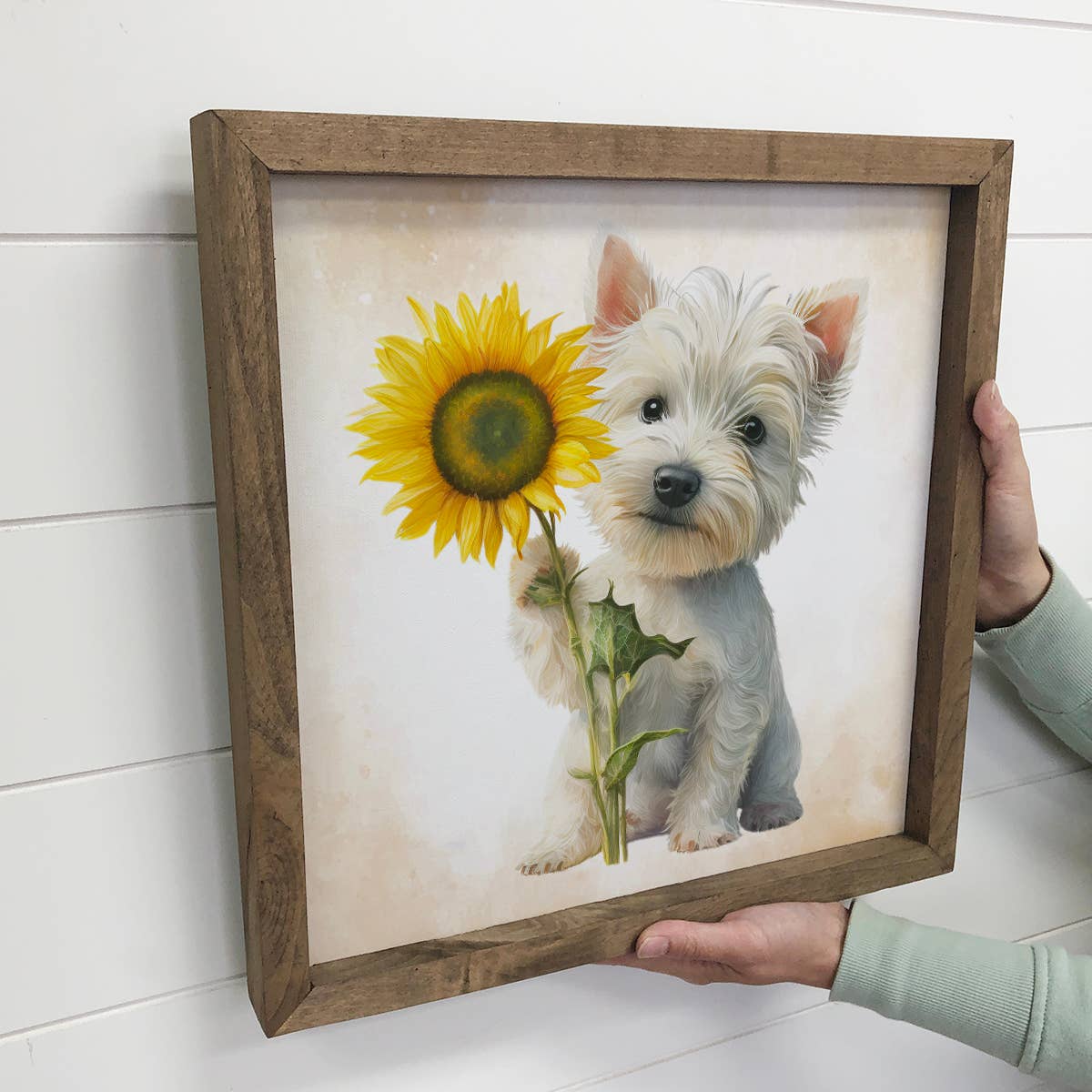 Sunflower Westie Canvas Art