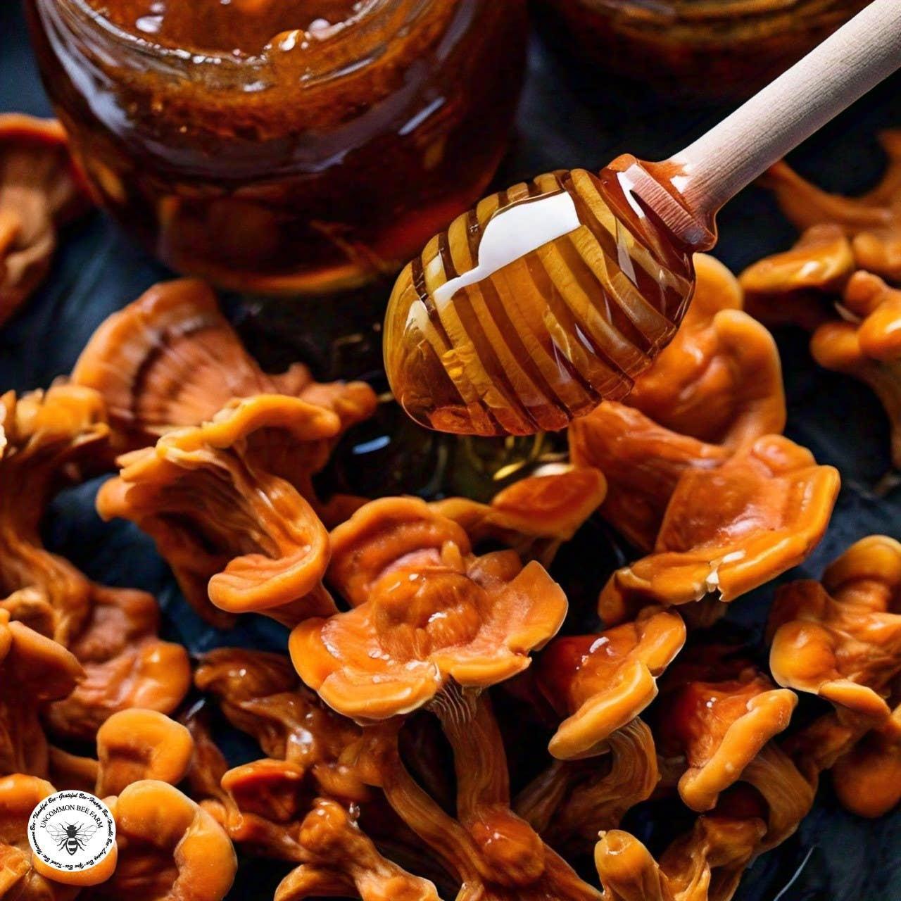 Reishi Mushroom Infused Honey: 5oz