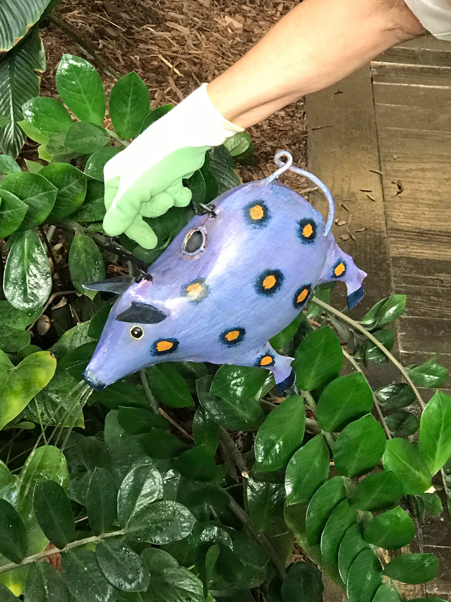 Patches The Pig Plant Pals Water Can
