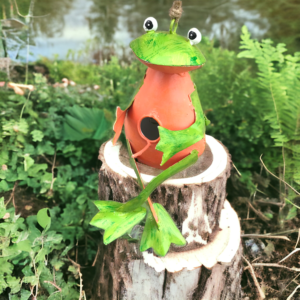 Fredo the Frog Hanging Bird House