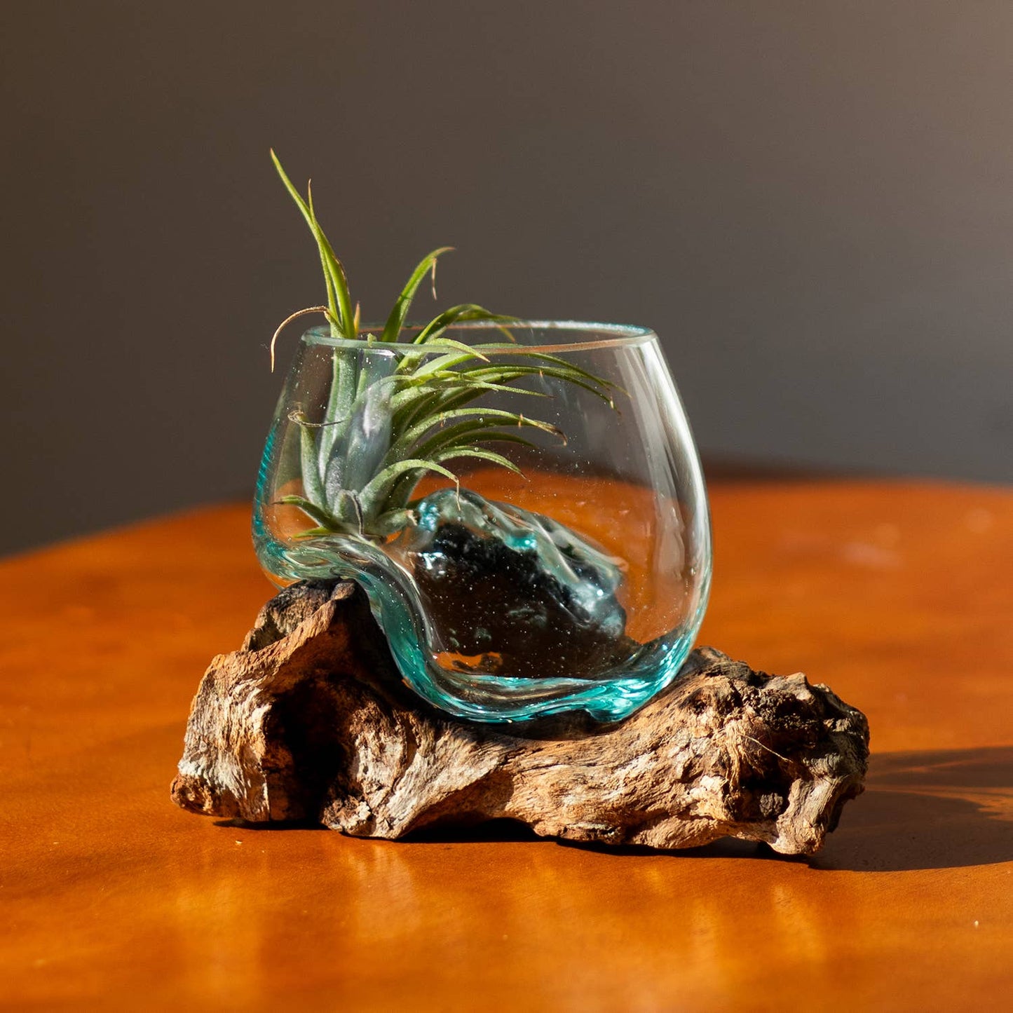 3" Open Mouth Molten Glass Terrarium