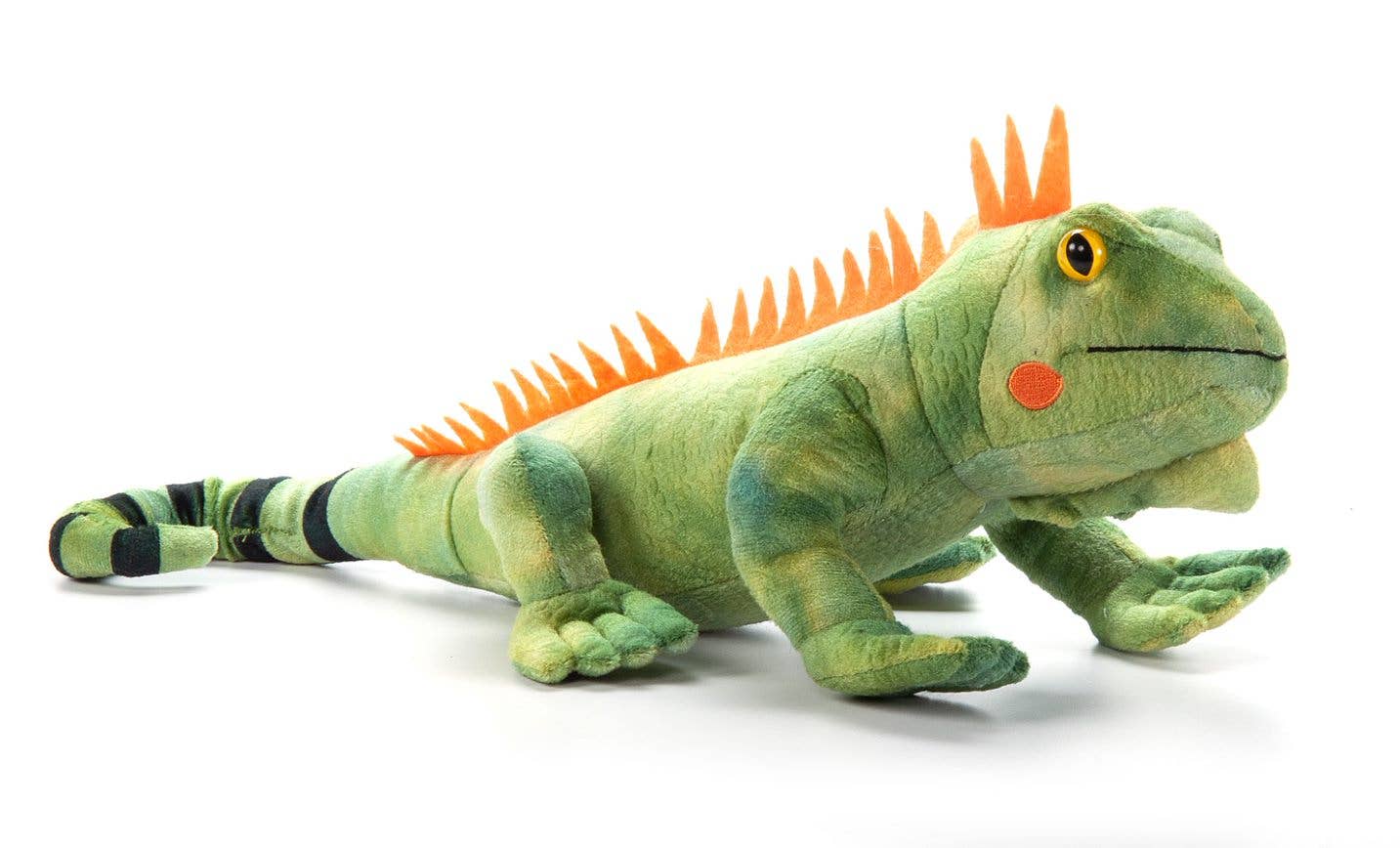 18" (45cm) Wild Onez Iguana