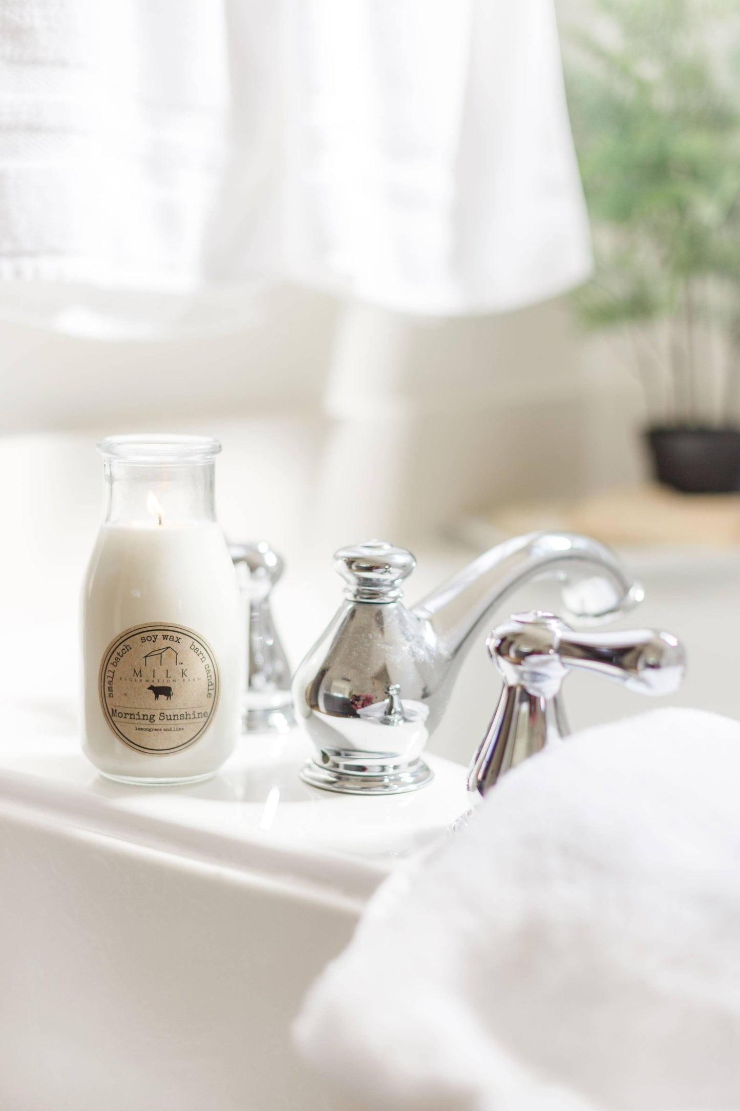 Milk Bottle Candle 13 oz: Sandalwood Cassis