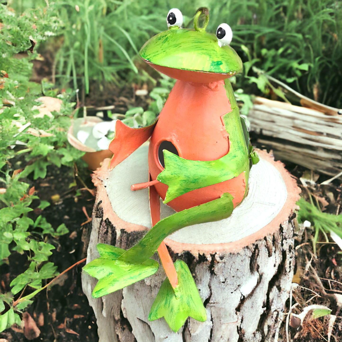 Fredo the Frog Hanging Bird House