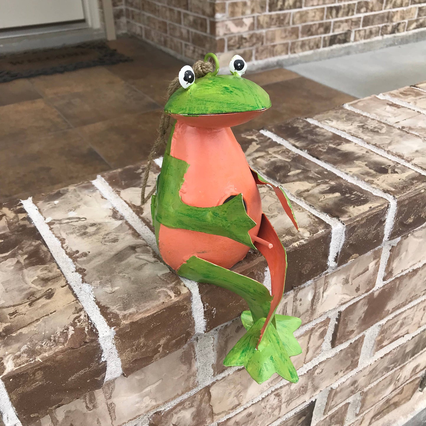 Fredo the Frog Hanging Bird House
