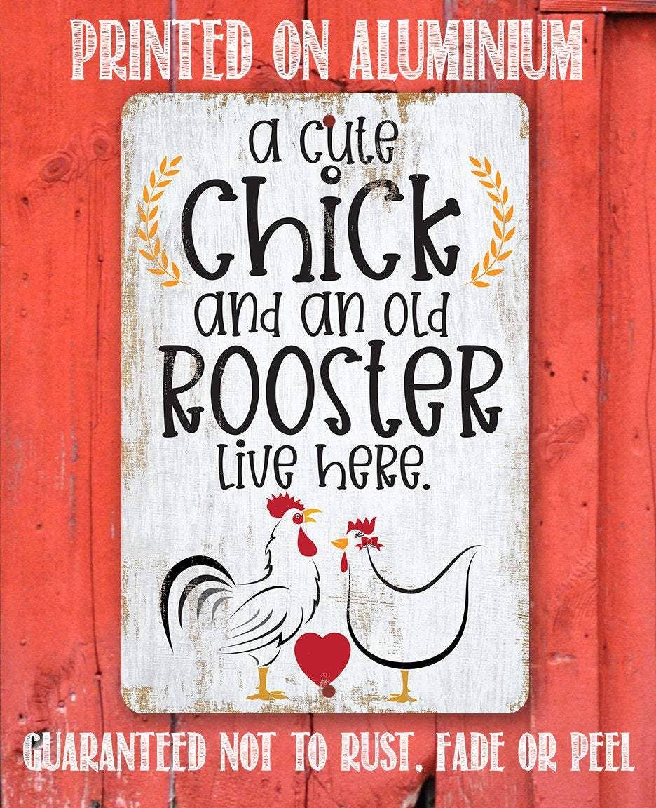 A Cute Chick and an Old Rooster Live Here - Metal Sign: 8 x 12