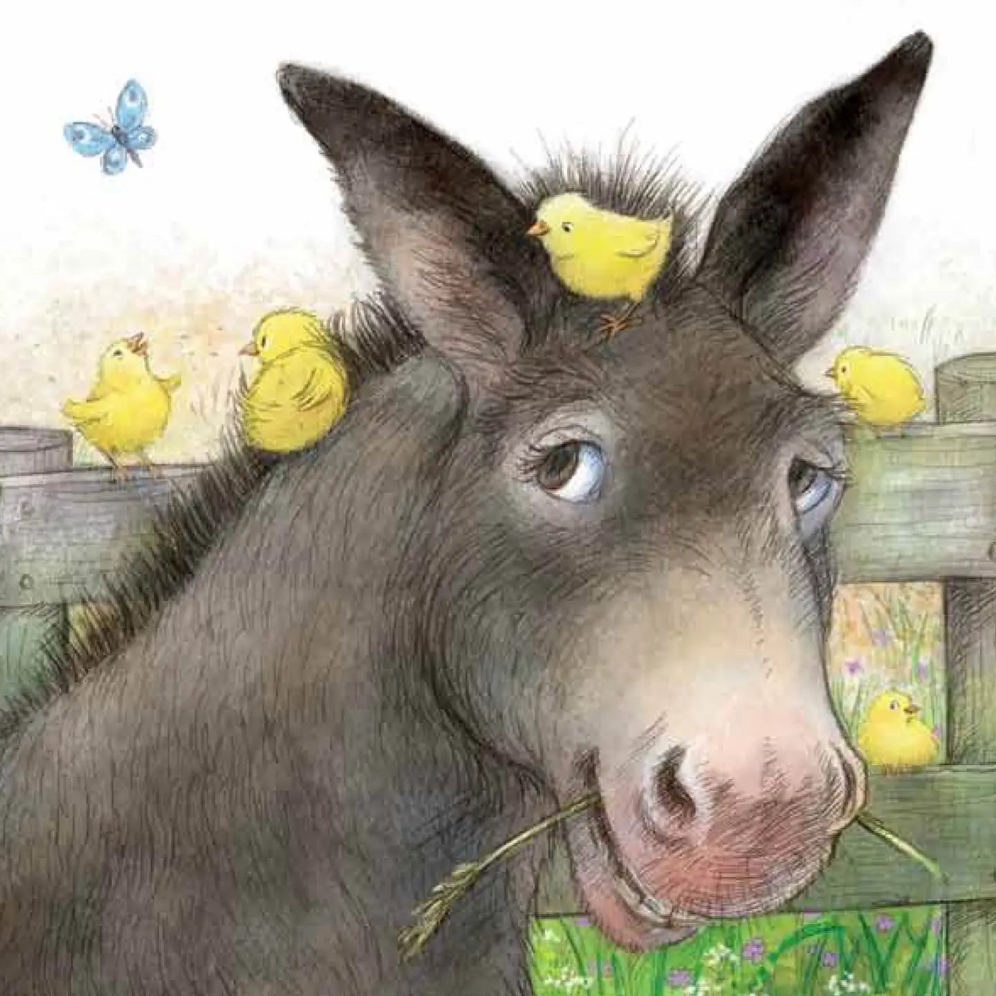 Grandma's Nursery Rhymes Old MacDonald board book