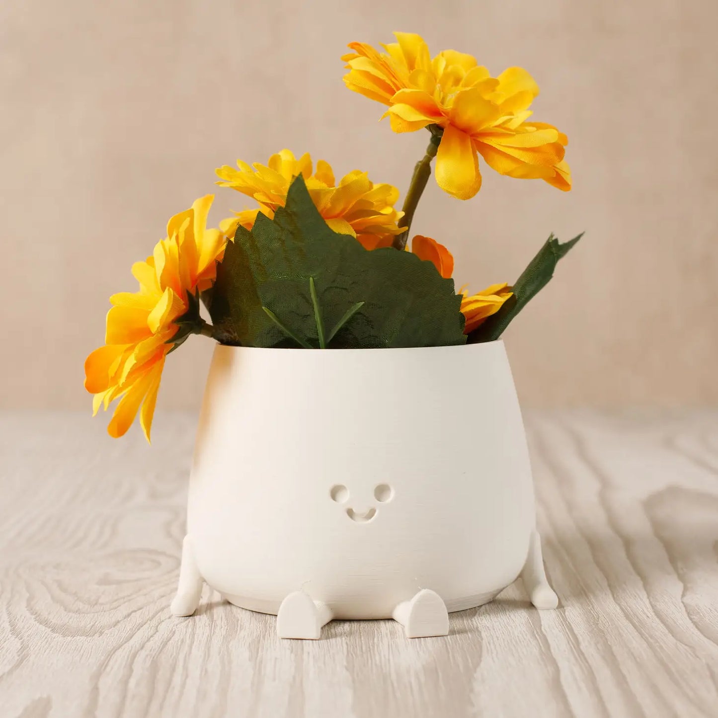 Small White Happy Pot Planter