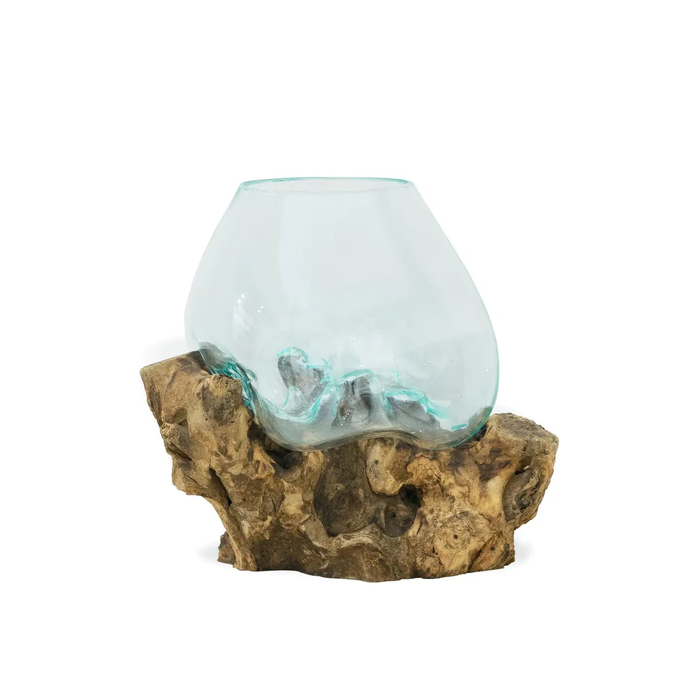 Medium Root with Blown Glass