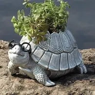 5.7"H TURTLE W/GLASSES PLANTER
