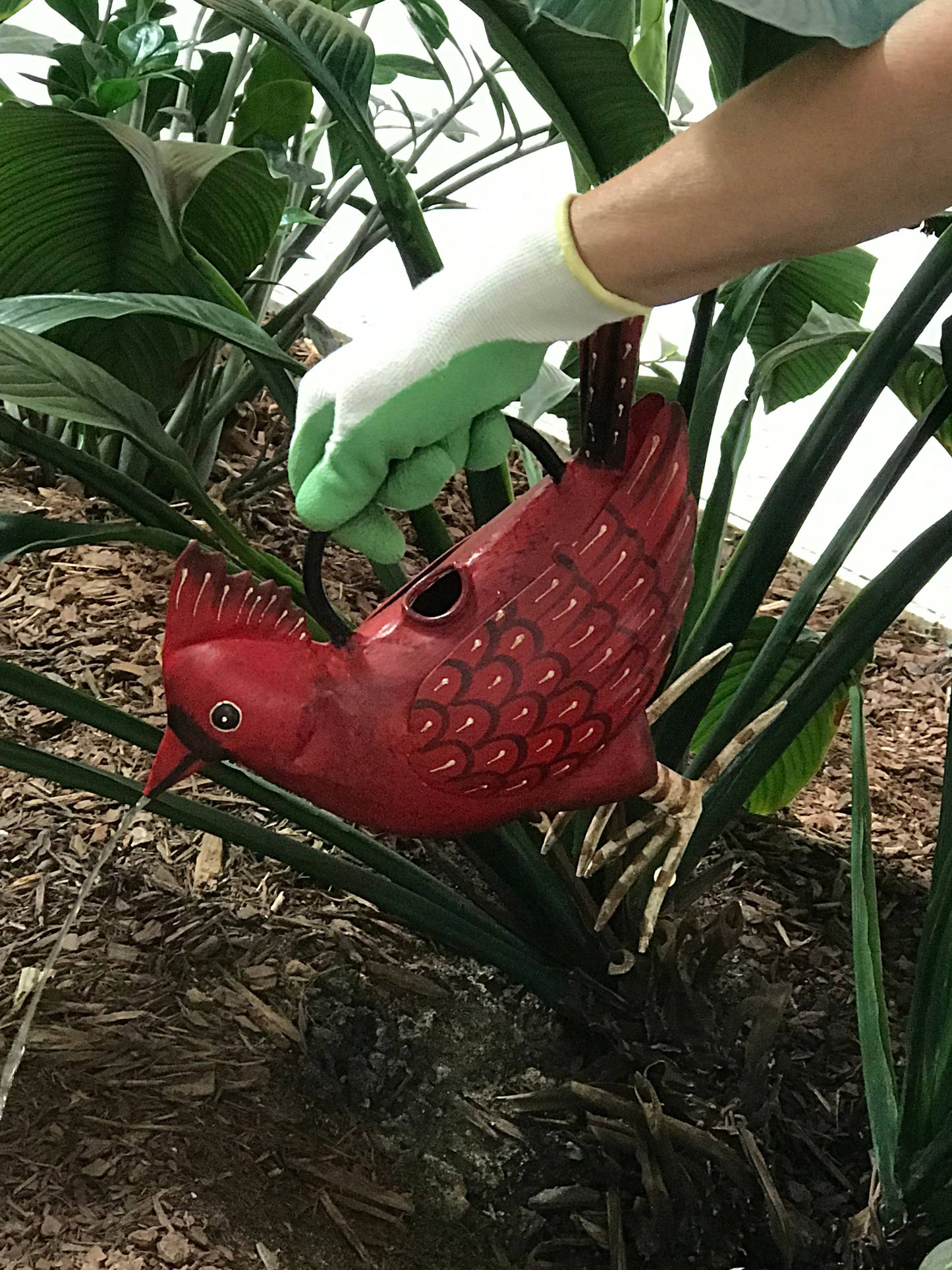 Cathy The Cardinal Plant Pals Water Can