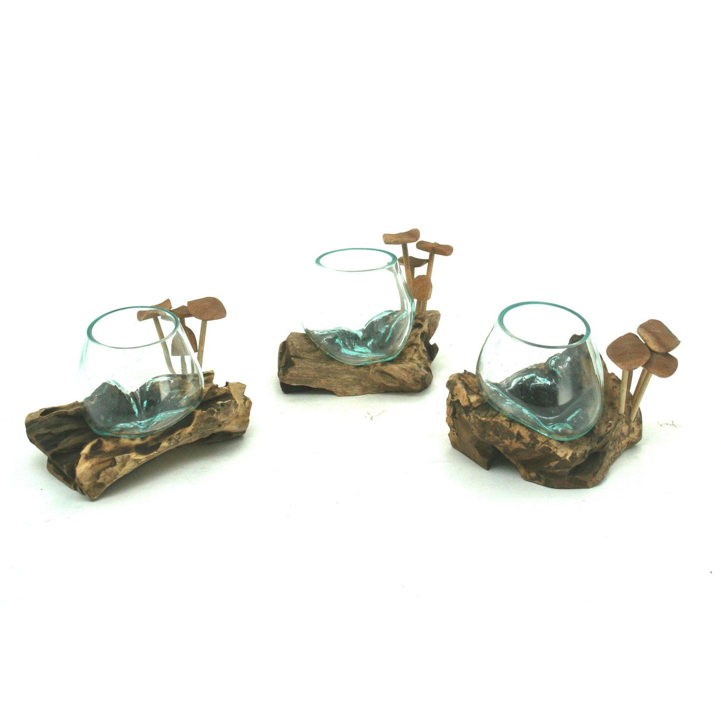 Small Driftwood Blown Glass Mushroom with (3 flat, 1 bud).