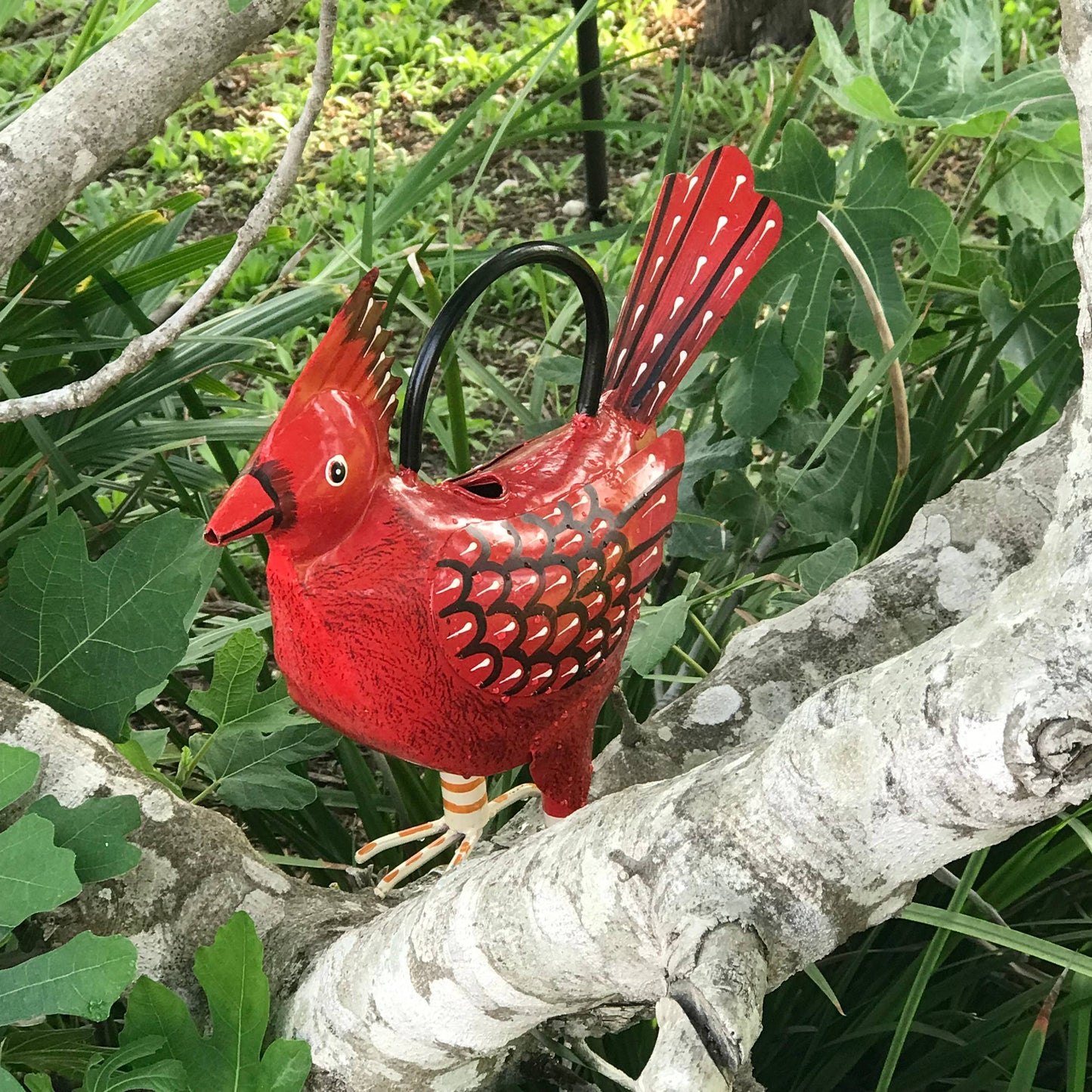 Cathy The Cardinal Plant Pals Water Can