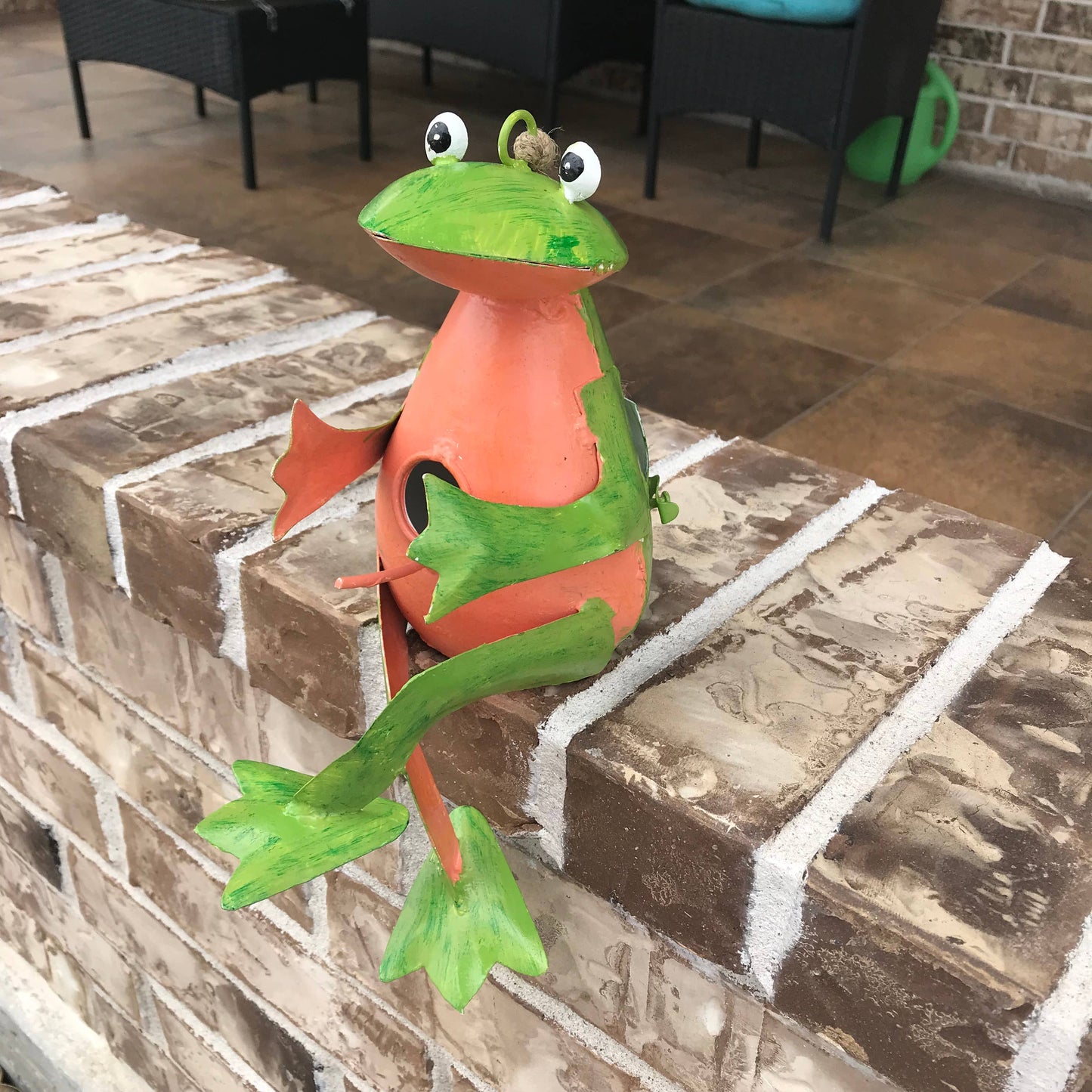 Fredo the Frog Hanging Bird House