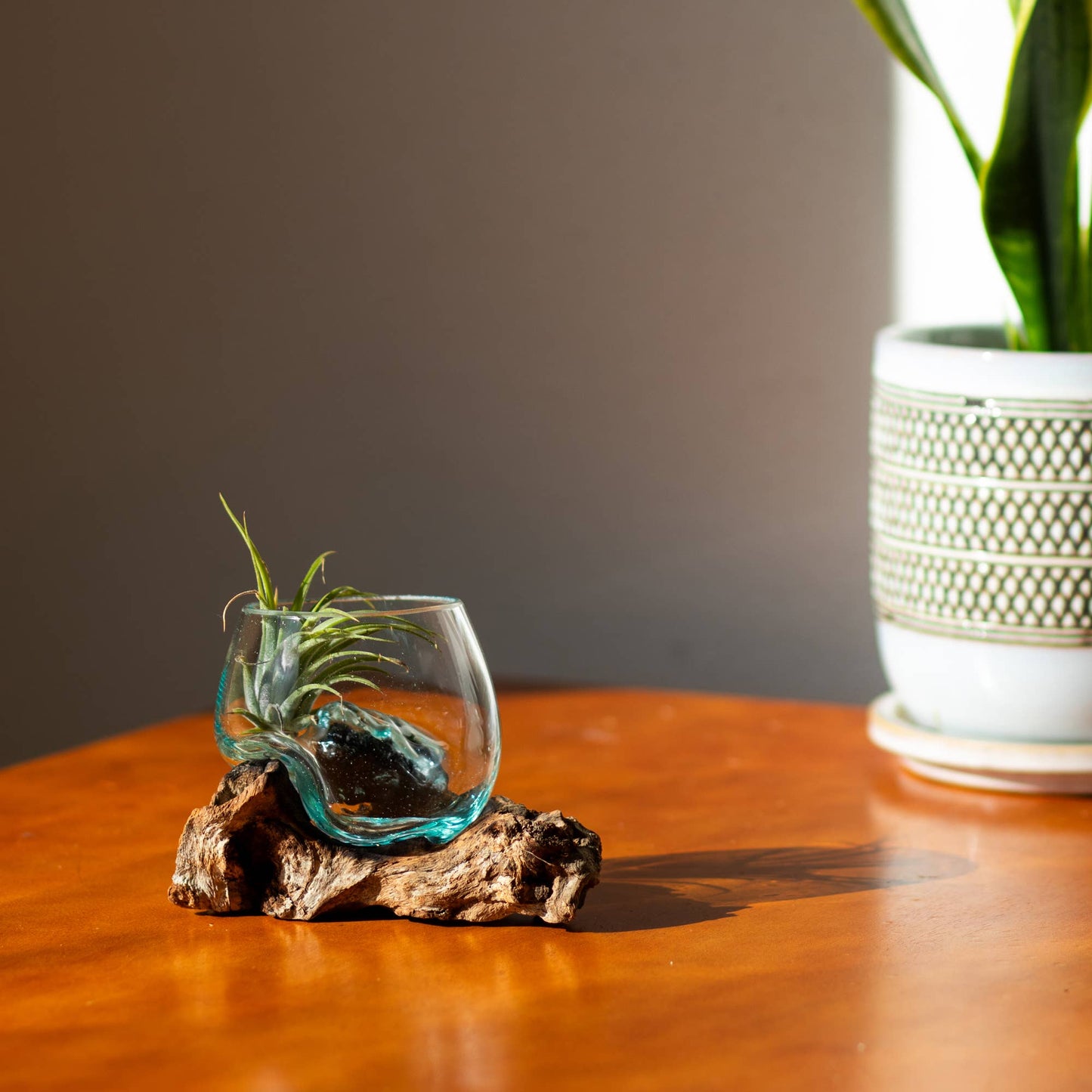 3" Open Mouth Molten Glass Terrarium