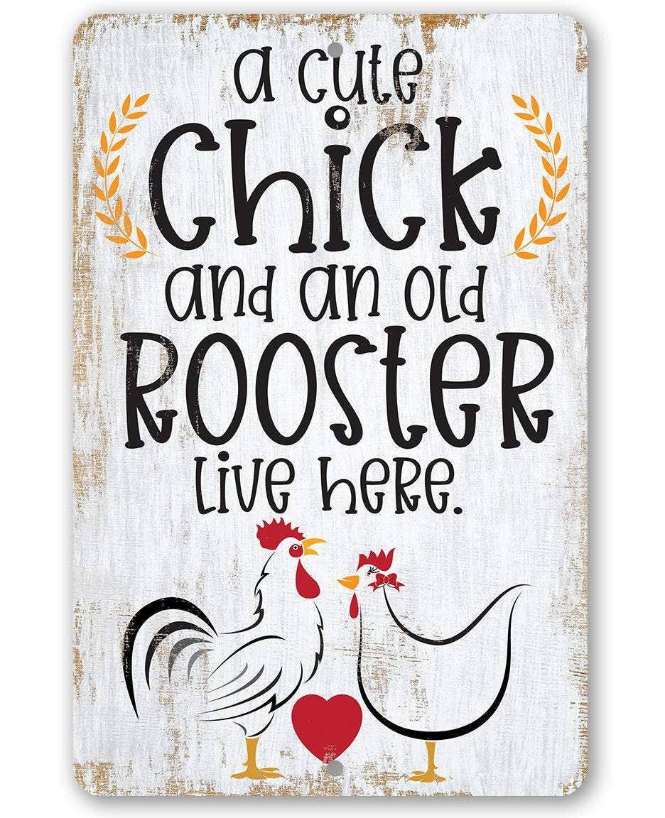 A Cute Chick and an Old Rooster Live Here - Metal Sign: 8 x 12