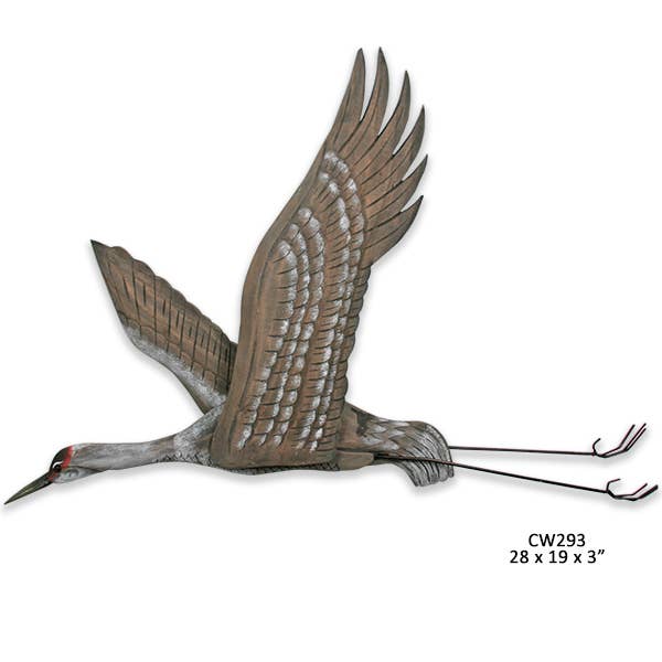 Sandhill Crane Flying