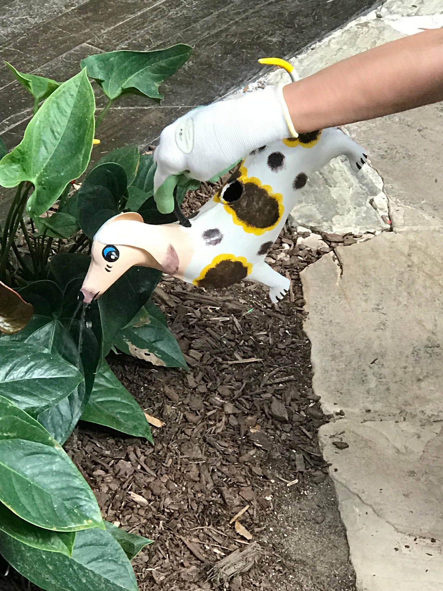 Dora The Dachshund Plant Pals Water Can