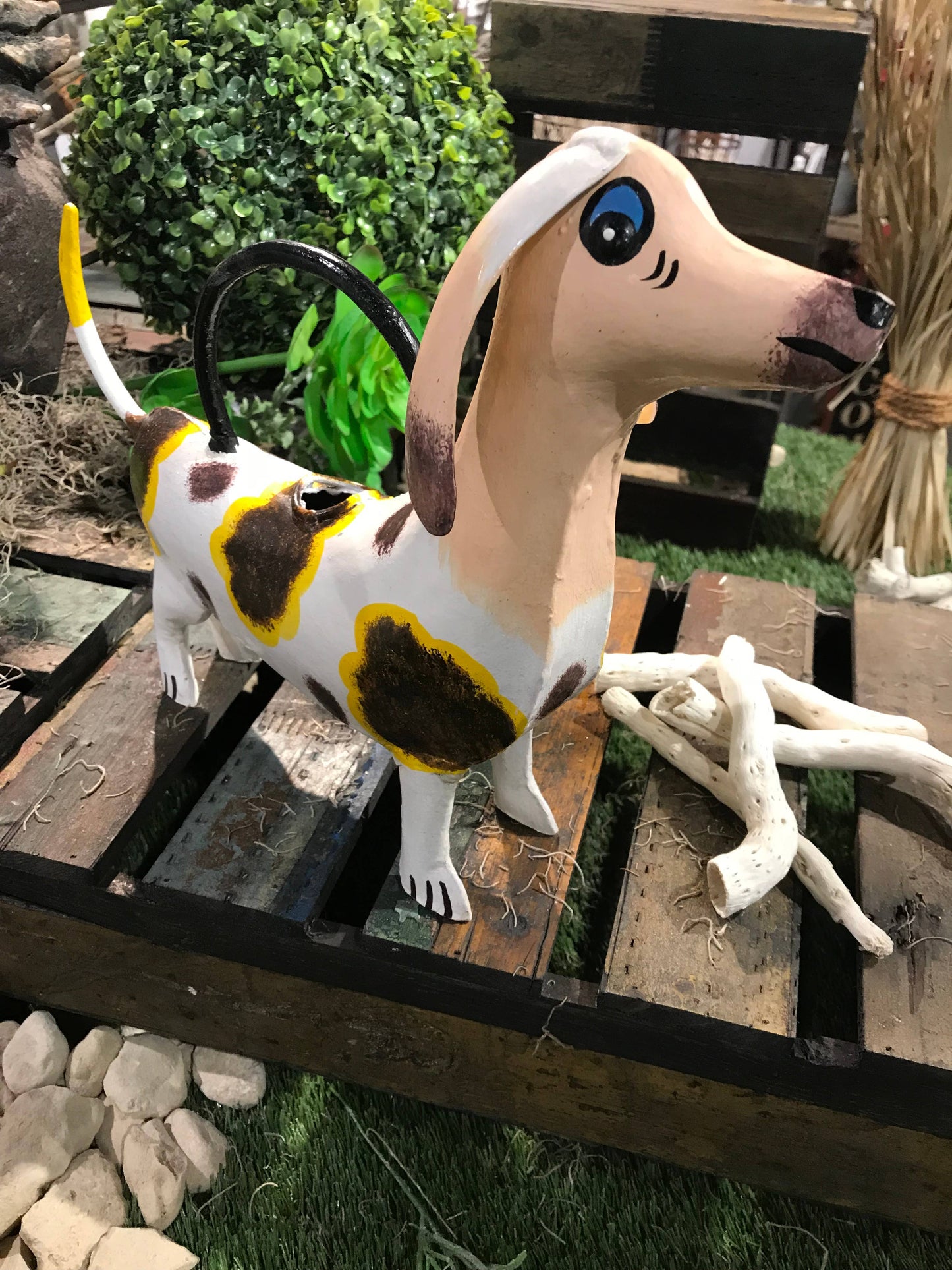 Dora The Dachshund Plant Pals Water Can