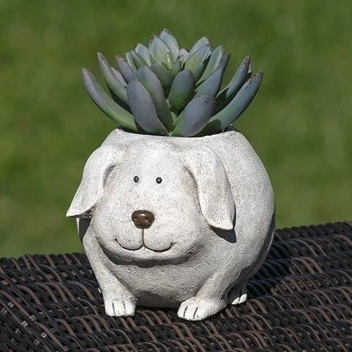 4"H MINI DOG PUDGY PLANTER