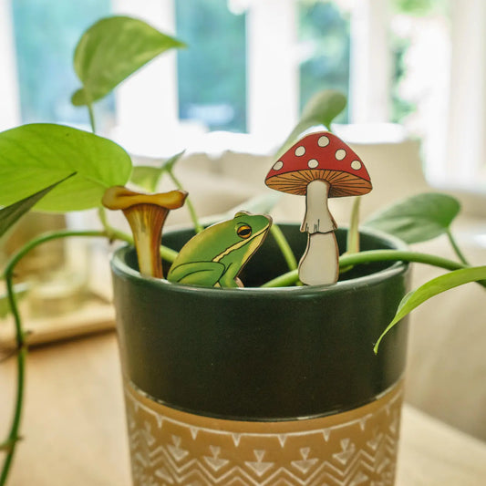 Frog and Mushrooms Fancy Plants Diorama Kit
