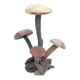 Large Driftwood Mushroom Cluster