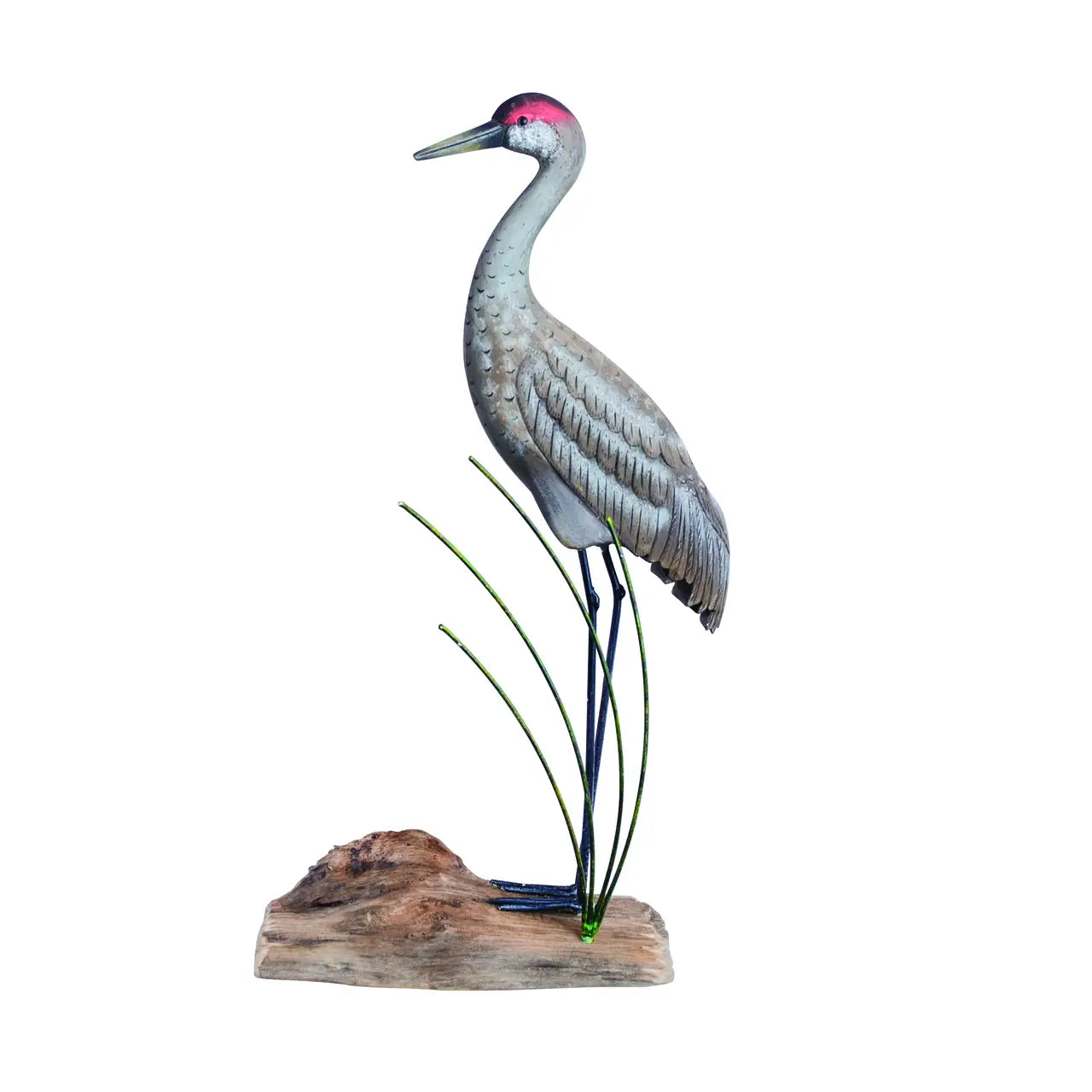Sandhill Crane Standing