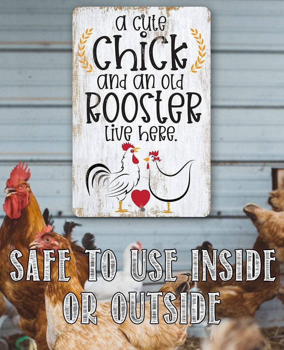 A Cute Chick and an Old Rooster Live Here - Metal Sign: 8 x 12