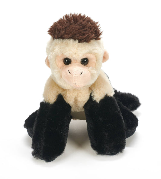 9" Capuchin Monkey