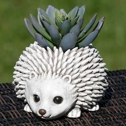 3.25"H MINI HEDGEHOG PUDGY