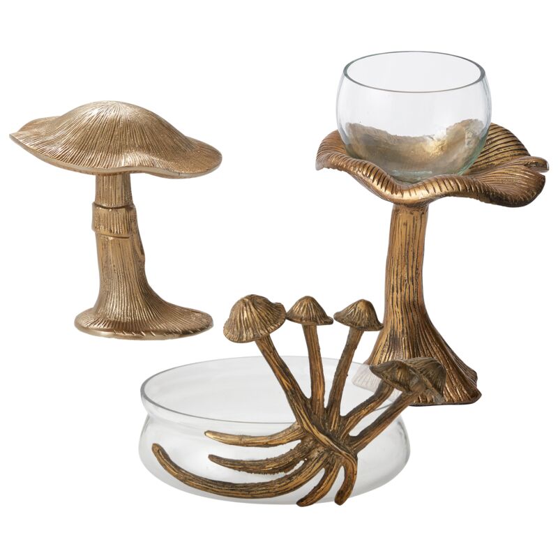Lichen Mushroom Bowl
